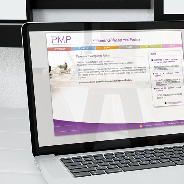 PMP - Performance Management Partner